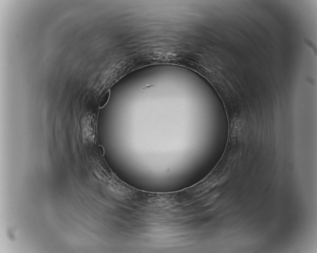 X0000101981202200807251226