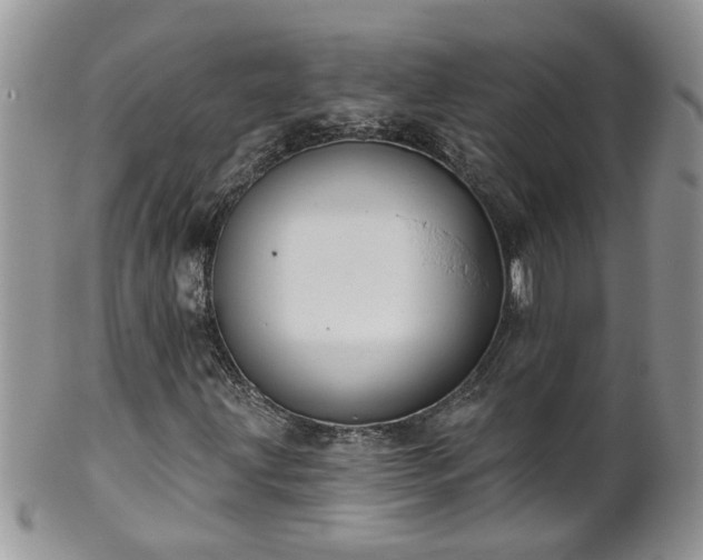 X0000101981203200807251226