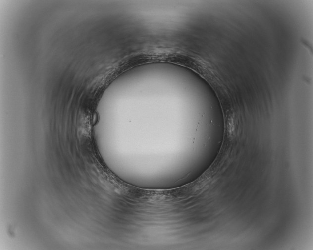 X0000101981204200807251226