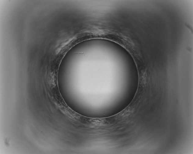 X0000101981205200807251226