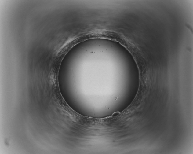 X0000101981206200807251226