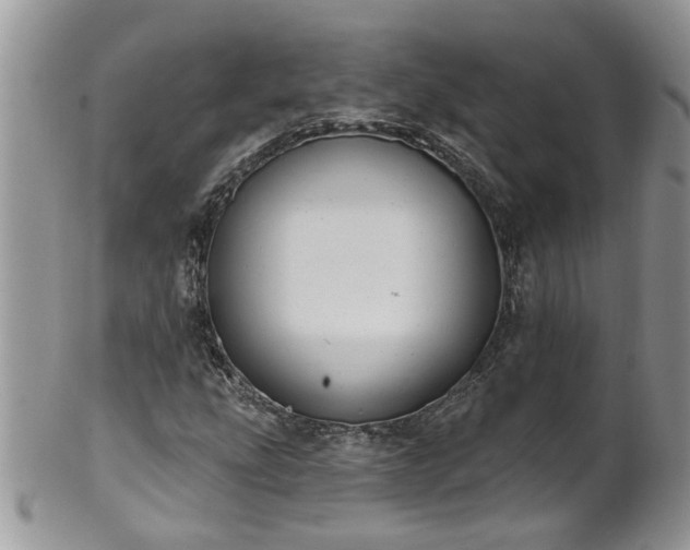 X0000101981207200807251226