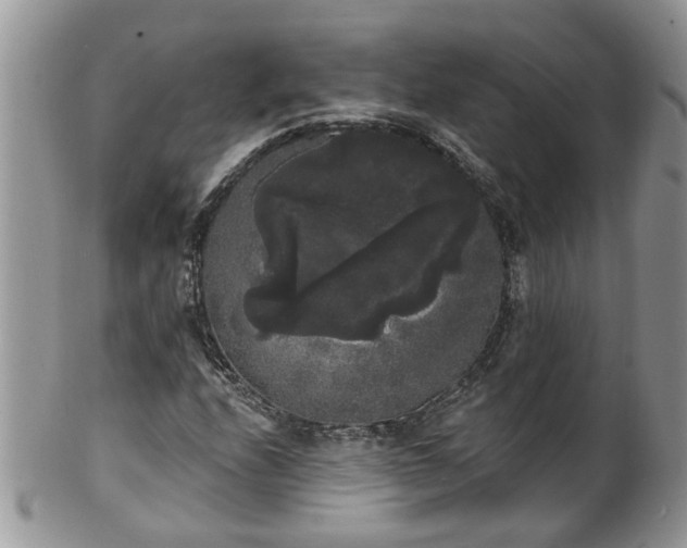 X0000101981208200807251226