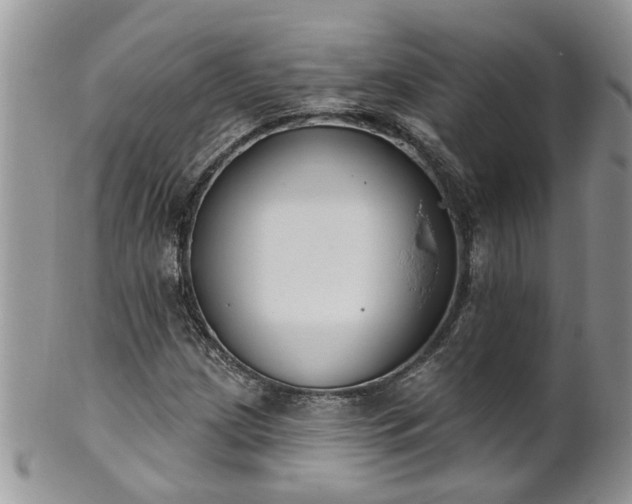 X0000101981209200807251226