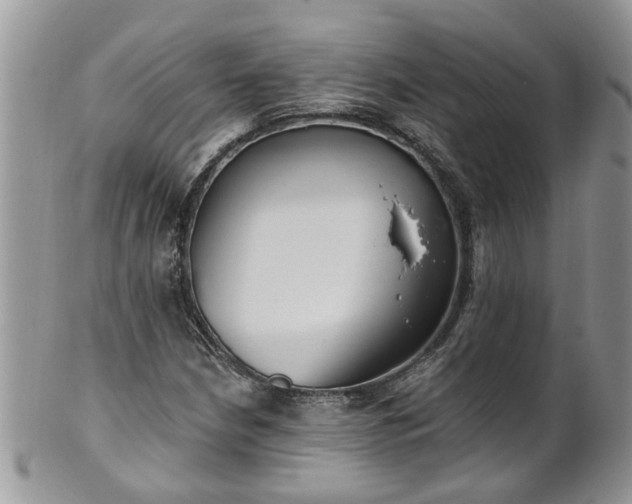 X0000101981210200807251226