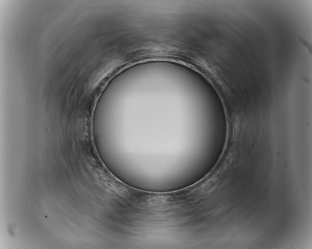 X0000101981211200807251226