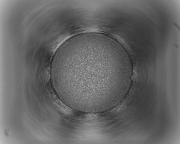 X0000101981212200807251226