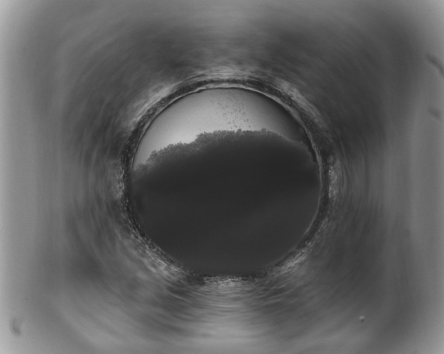 X0000101981213200807251226