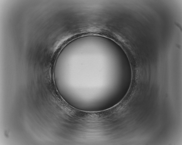 X0000101981214200807251226