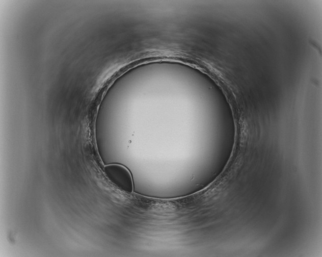 X0000101981215200807251226