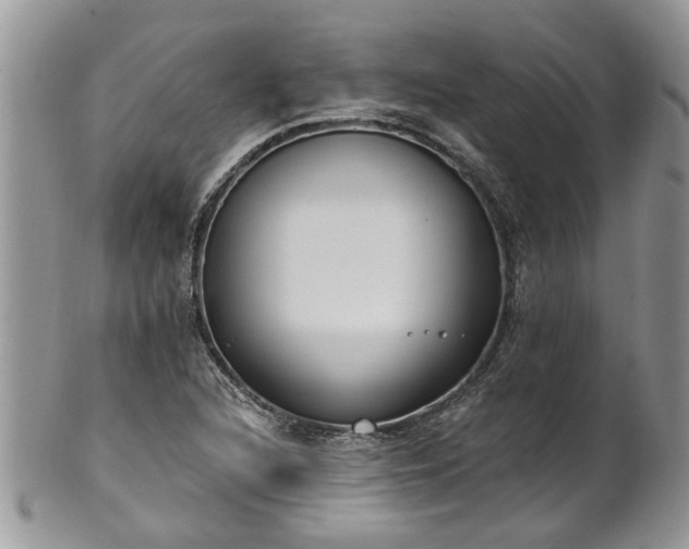 X0000101981216200807251226