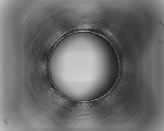 X0000101981217200807251226