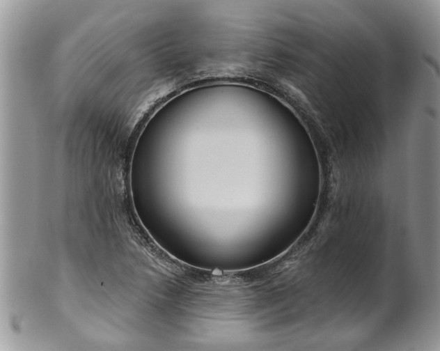 X0000101981218200807251226