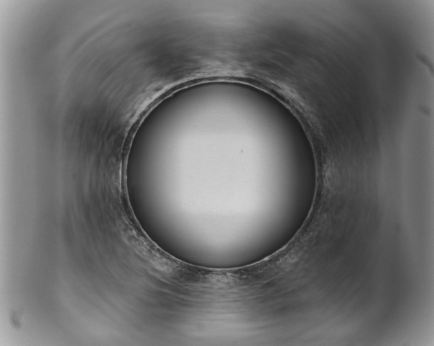 X0000101981220200807251226