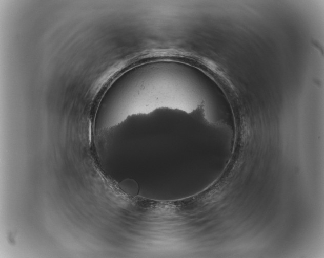 X0000101981221200807251226