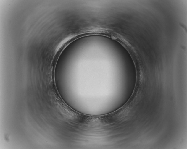 X0000101981222200807251226