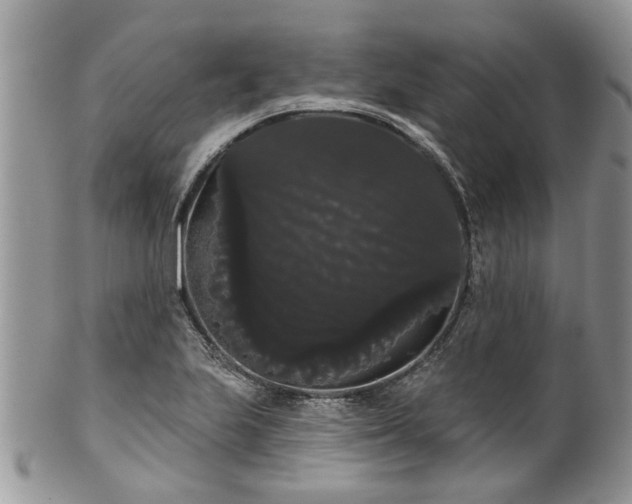 X0000101981223200807251226