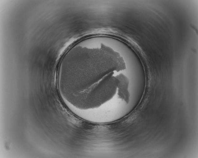 X0000101981224200807251226