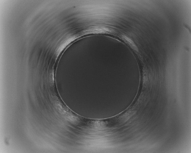 X0000101981226200807251226