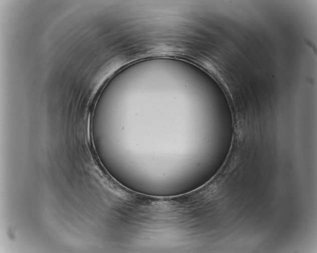 X0000101981227200807251226