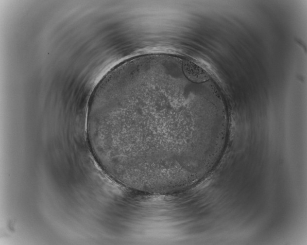 X0000101981228200807251226