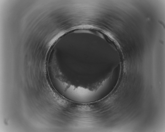 X0000101981229200807251226