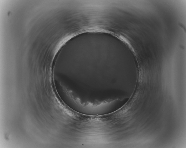 X0000101981231200807251226