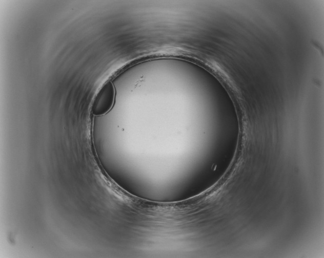 X0000101981232200807251226