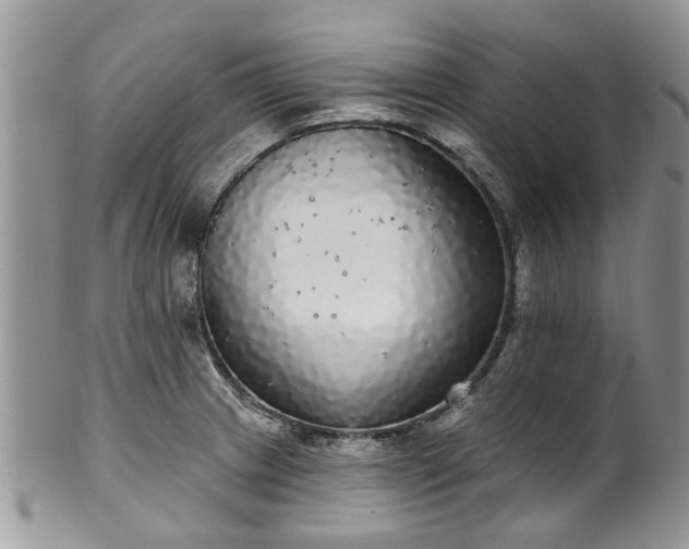 X0000101981233200807251226