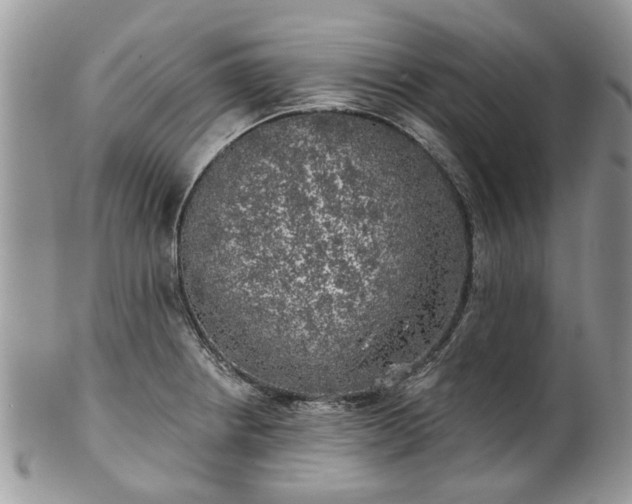 X0000101981234200807251226