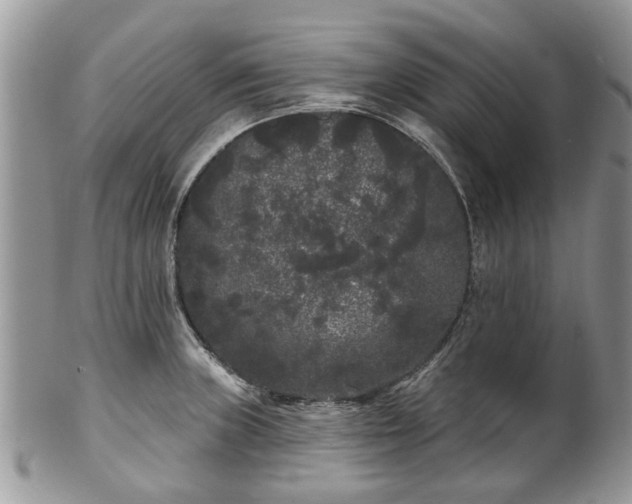 X0000101981235200807251226