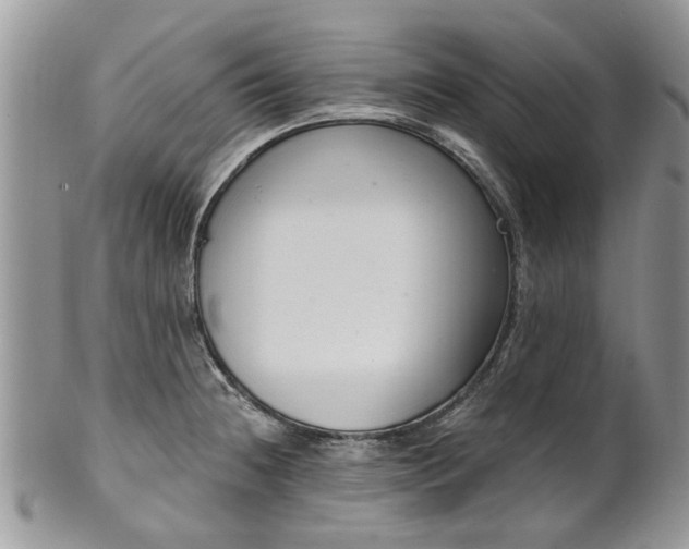 X0000101981236200807251226