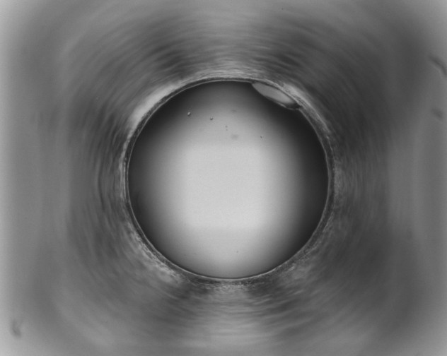 X0000101981238200807251226