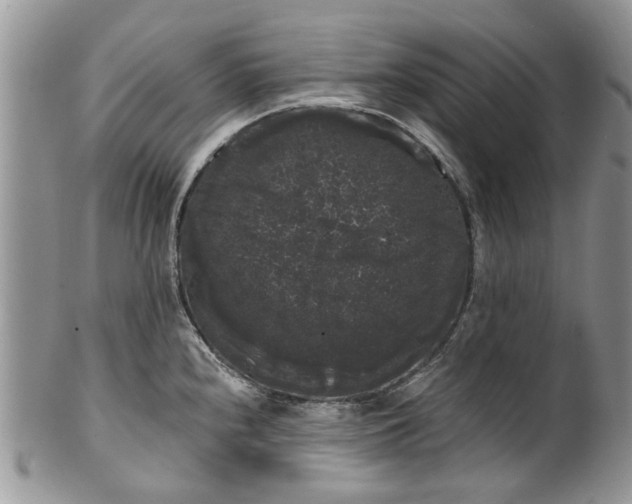 X0000101981240200807251226