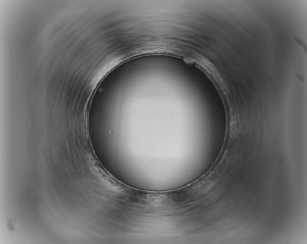 X0000101981242200807251226