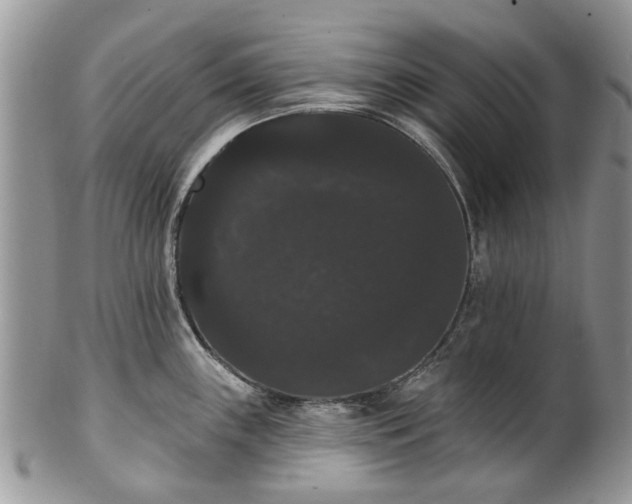 X0000101981243200807251226