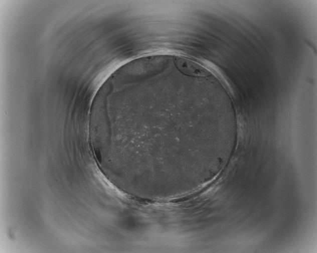 X0000101981244200807251226