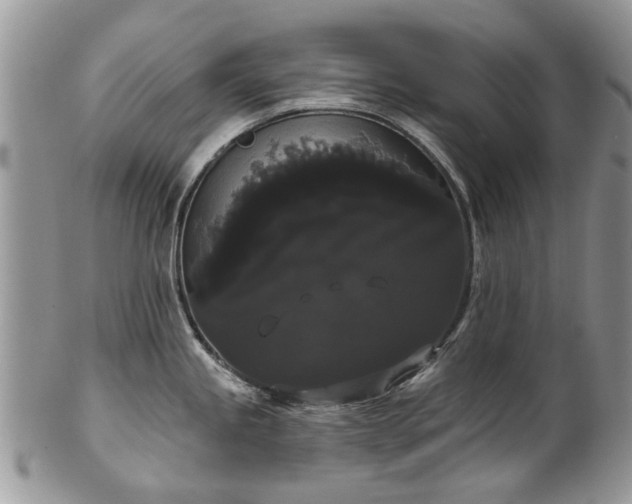 X0000101981245200807251226