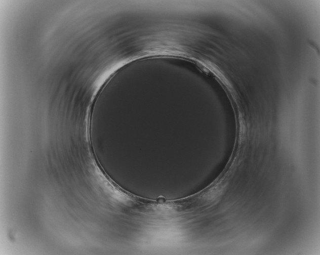 X0000101981246200807251226