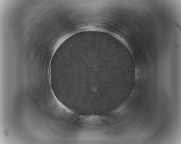 X0000101981247200807251226