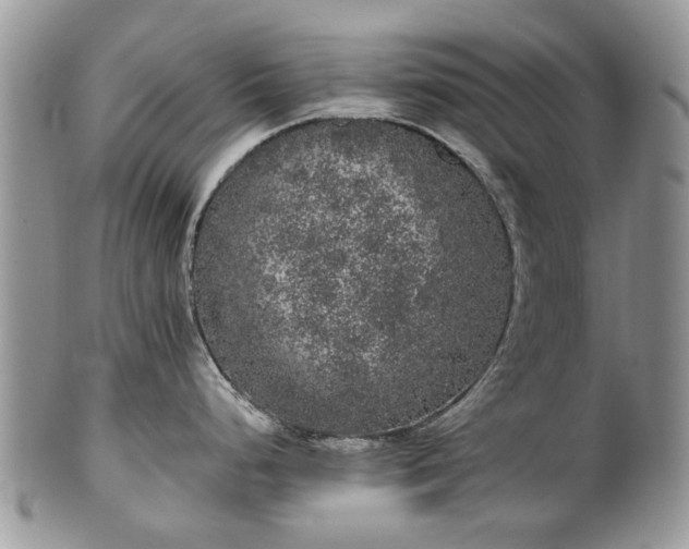 X0000101981248200807251226