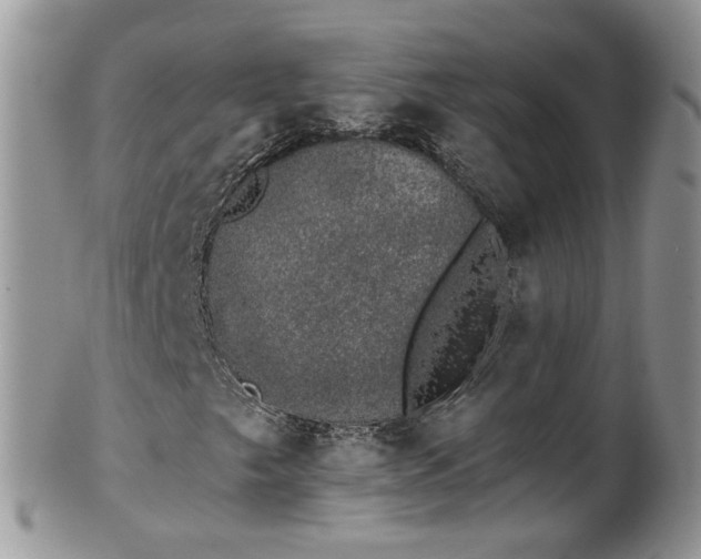 X0000101981249200807251226