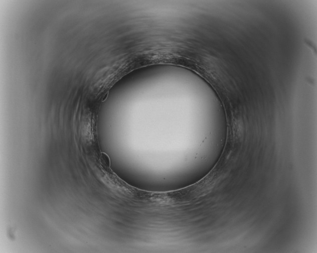 X0000101981250200807251226