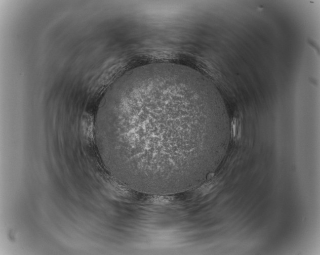 X0000101981251200807251226