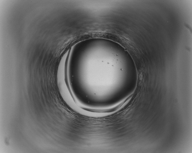 X0000101981252200807251226