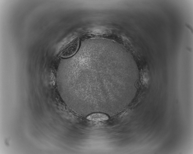 X0000101981253200807251226