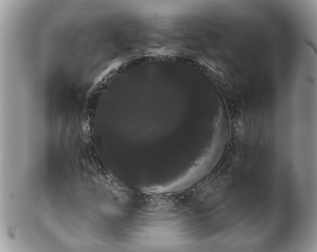 X0000101981254200807251226