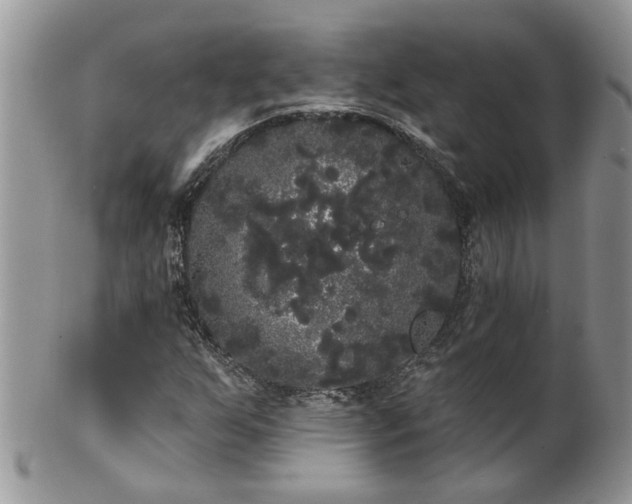 X0000101981255200807251226