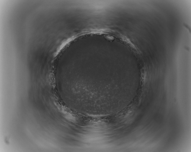 X0000101981256200807251226