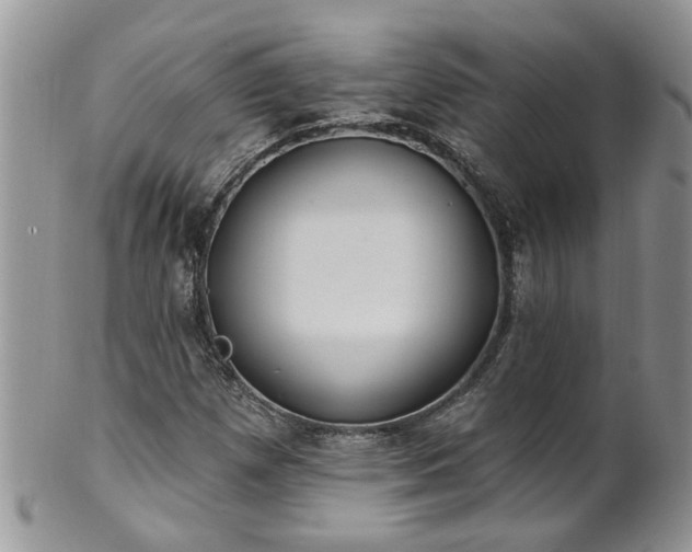 X0000101981257200807251226